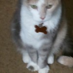 2011-09-08 11.48.11