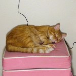 IMG_20210128_213631674