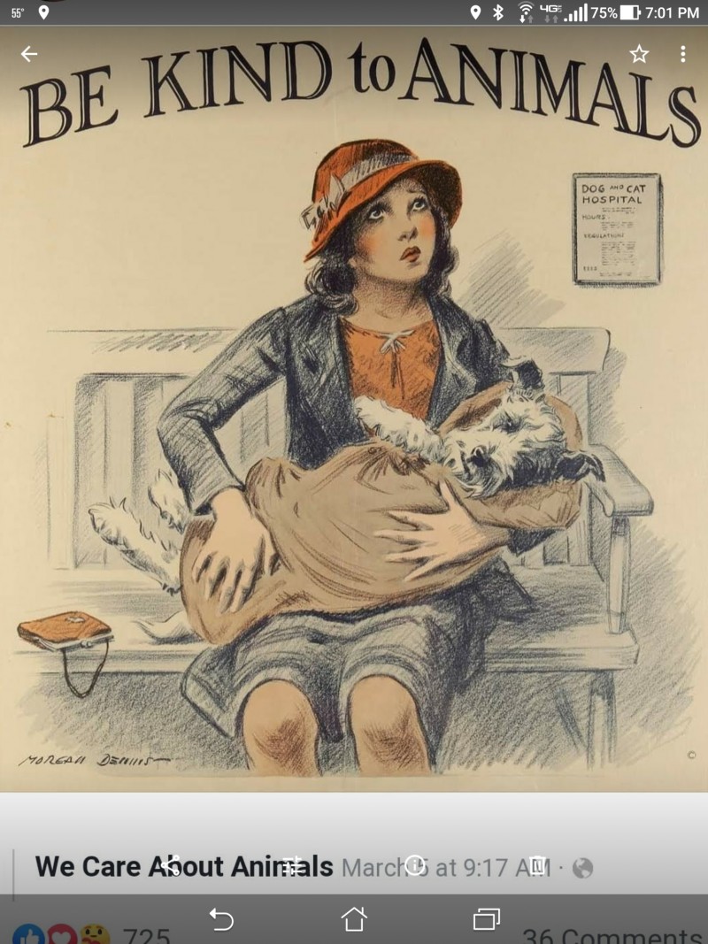 screenshot_20210313-190138