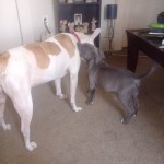 Wyatt & Emma