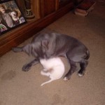 Wyatt & Ratt20190326_024339
