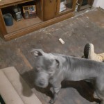 IMG_20191216_024413_474