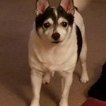 20170802_201251