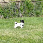 IMG_20210514_145104145