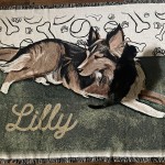 Cat Sitting on Lilly Throw