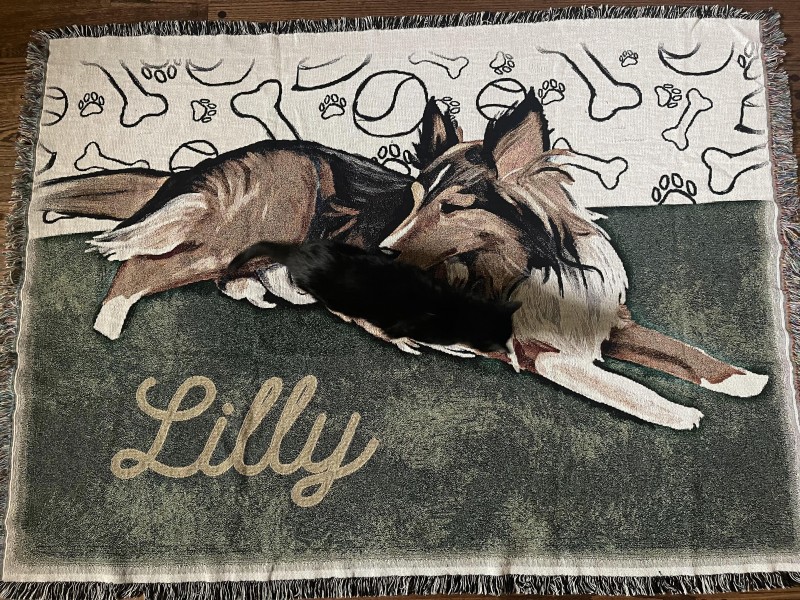 cay-on-lilly-throw