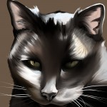 Toni's cat brown