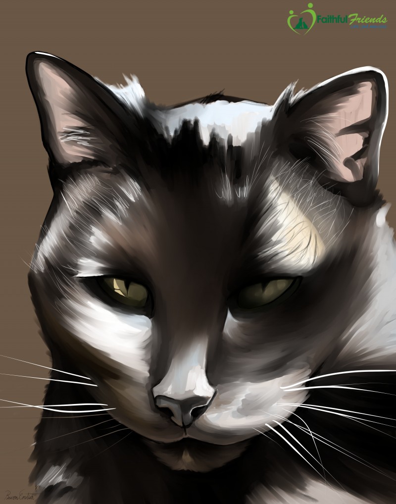 tonis-cat-brown