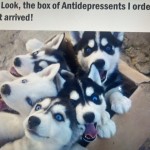 Antidepressents