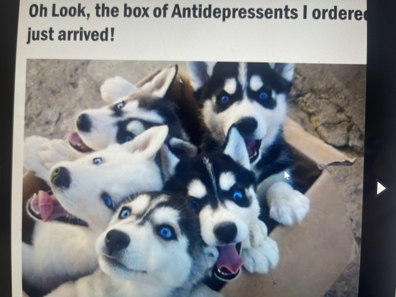 antidepressents