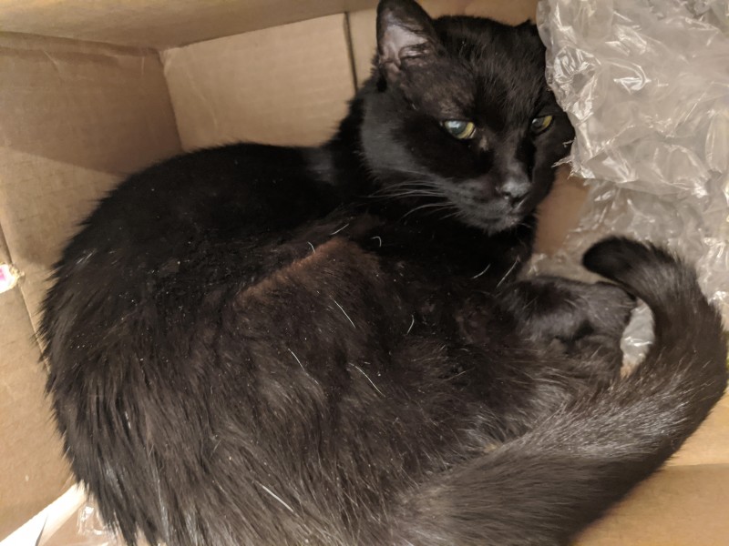 bginbox