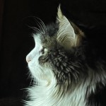 Walter Profile