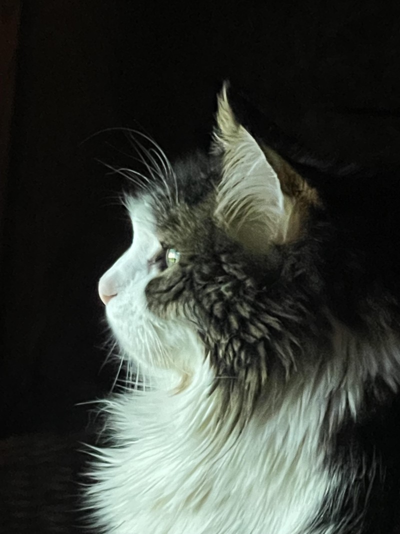 walter-profile-2