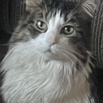 Walter