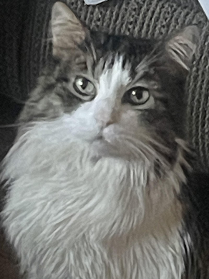 walter-2