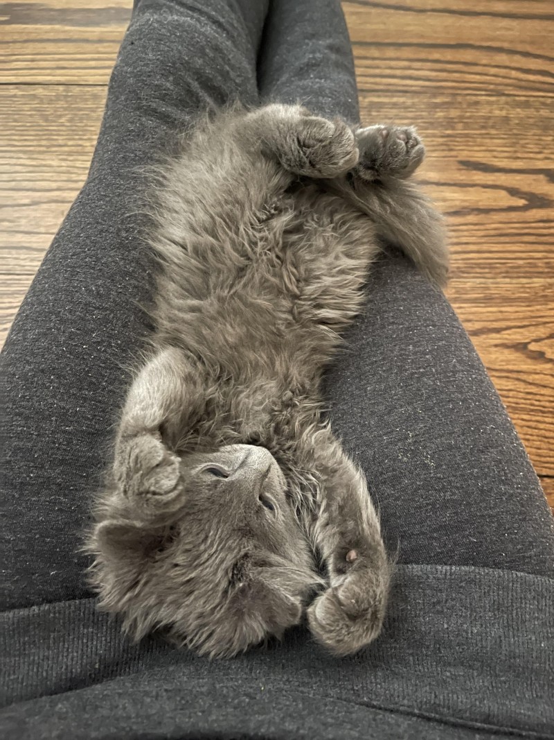 img_8476
