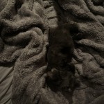 IMG_9463