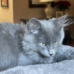IMG_0071