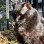 IMG_1898