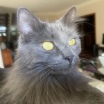 IMG_2770