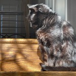 IMG_2698
