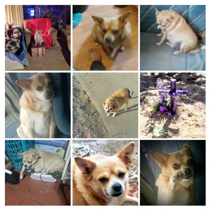 20210323_230538-collage