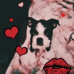HARLEY