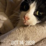 IMG_20201215_115639_213