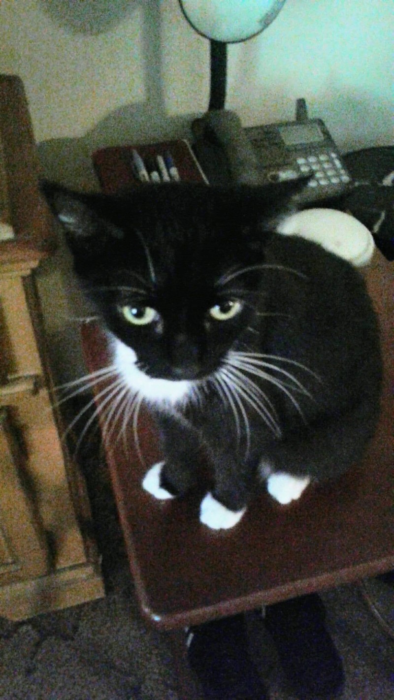 received_10155813667769211