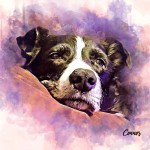 45013-boy-Connor copy