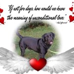 FB_IMG_1629515377243