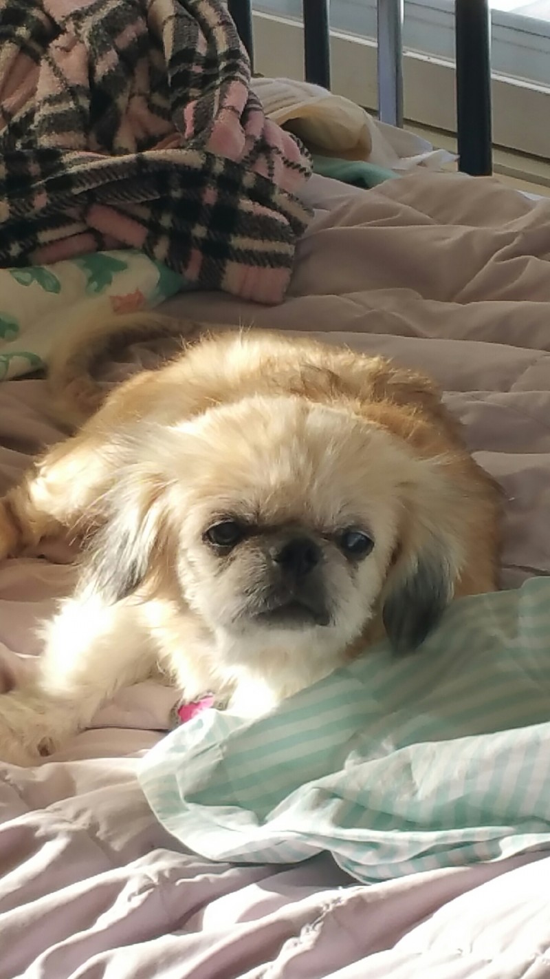kayla-2019