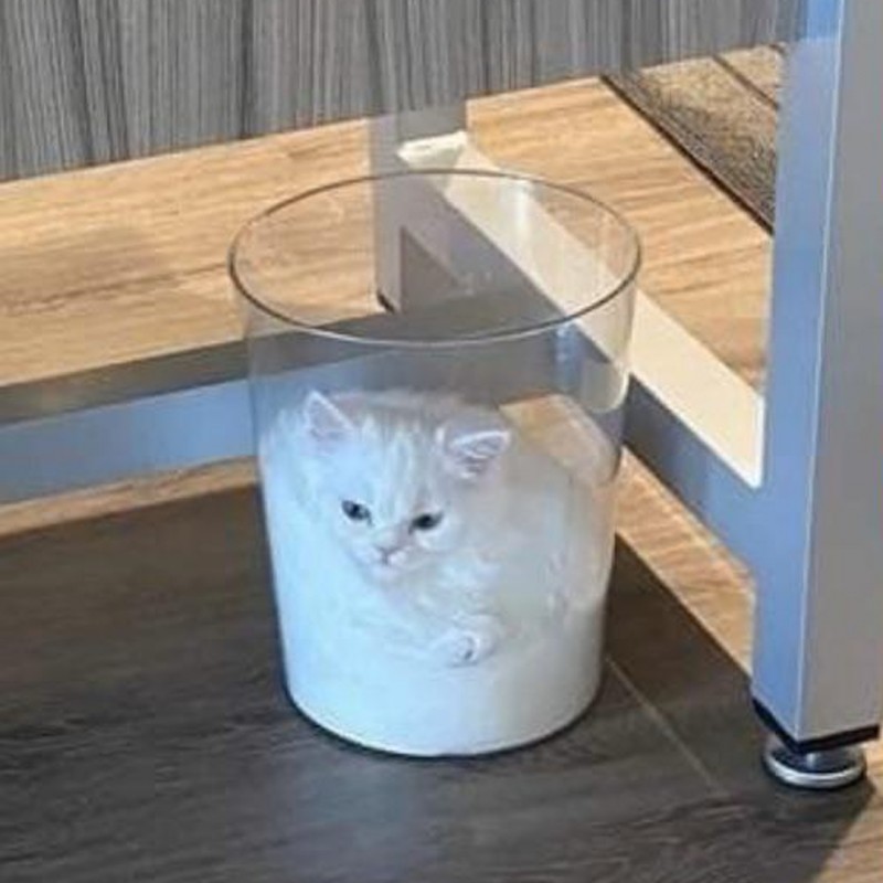 milk