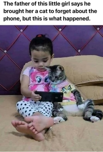 cat-phone