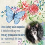 FB_IMG_1647776811219