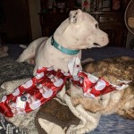 IMG_20221225_143230