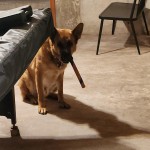20241025_184755