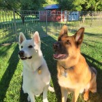 Resized_20240707_192202_1720394690305