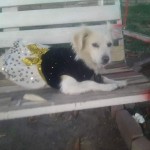 FB_IMG_1629376850932