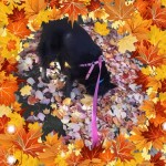 658E7450-E1EB-4383-9BF6-1E1DC42BC2C9