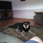 IMG_20160910_173802