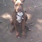FB_IMG_1570613604763