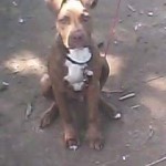 FB_IMG_1598900286848