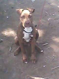 fb_img_1598900286848