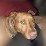 InFrame_1581801997684