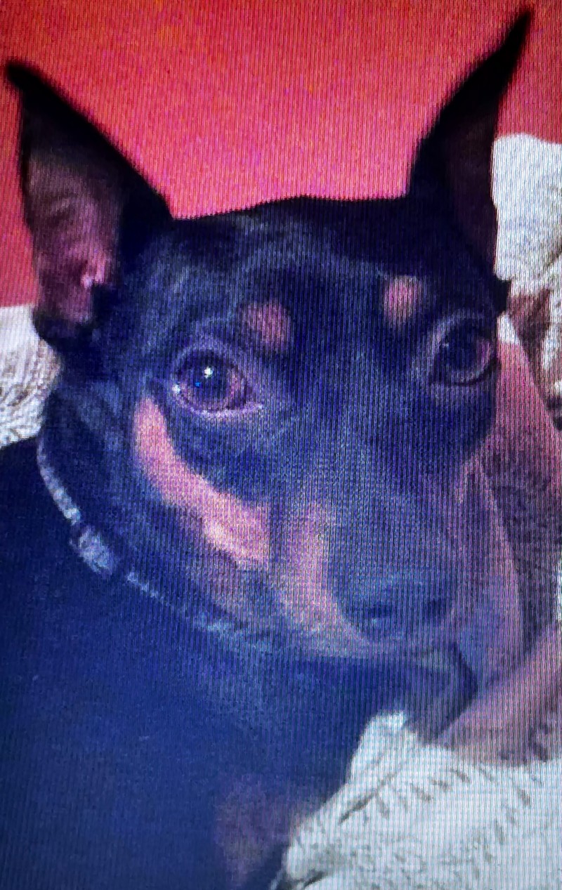 4bf6249f-0143-49bd-adf2-814c3240050a