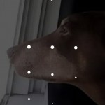 Screenshot_20220415-193025