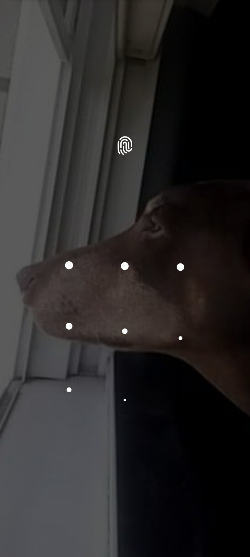 screenshot_20220415-193025