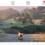 Screenshot_20220415-182135_Facebook