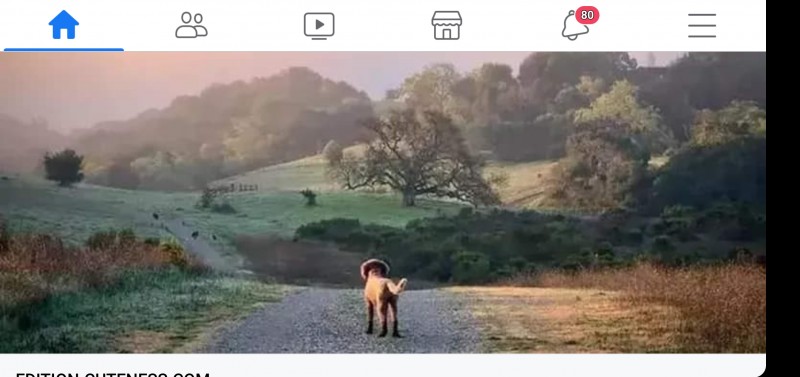 screenshot_20220415-182135_facebook